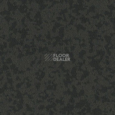 Линолеум Taralay Premium Osmoz 7737 Pepper Grey фото 1 | FLOORDEALER